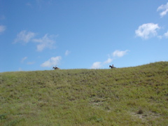 DSC02640.JPG
