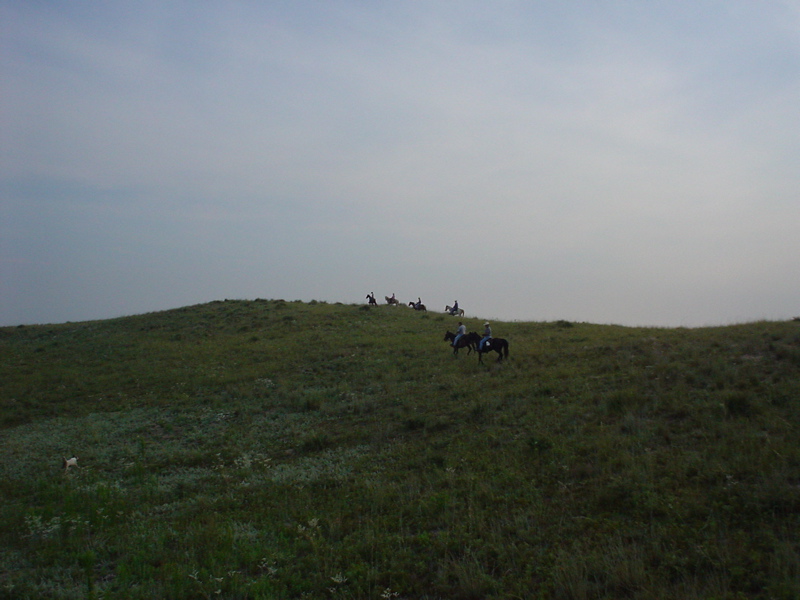 DSC01838.JPG