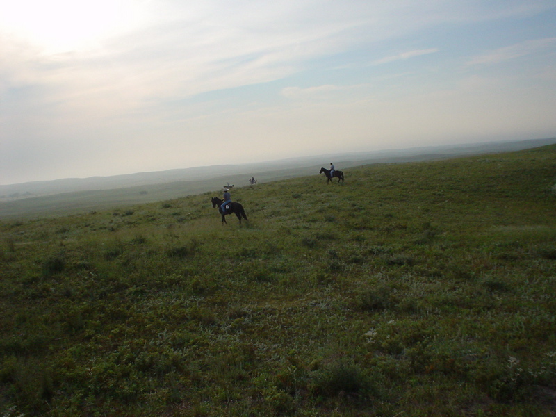 DSC01839.JPG