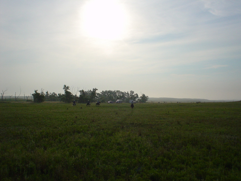 DSC01844.JPG