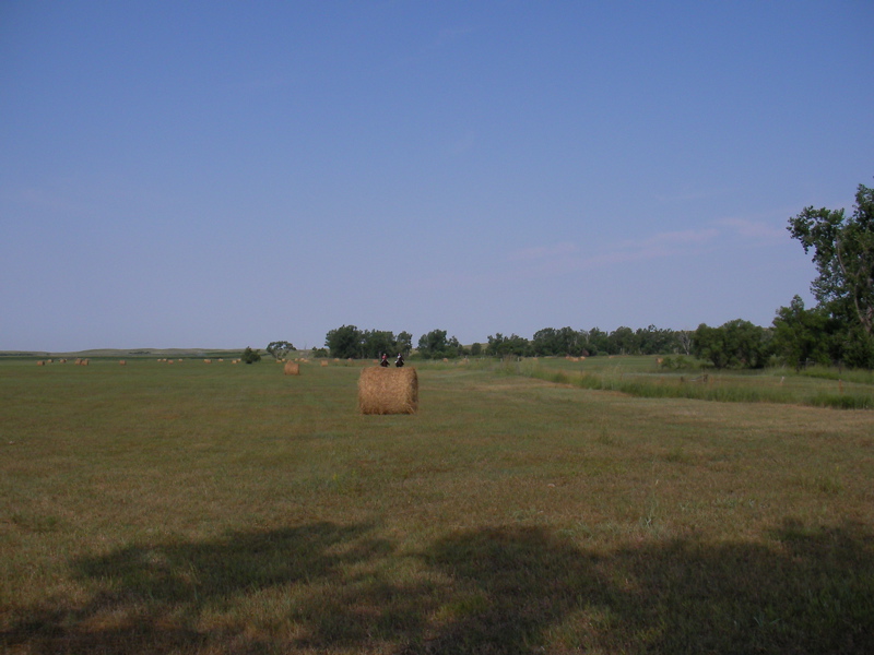 SANY0047.JPG