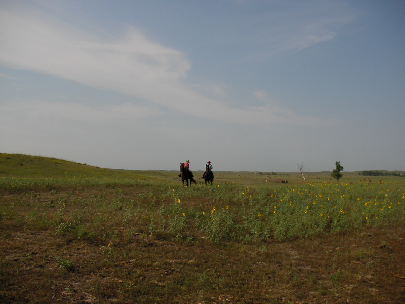 SANY0052.JPG
