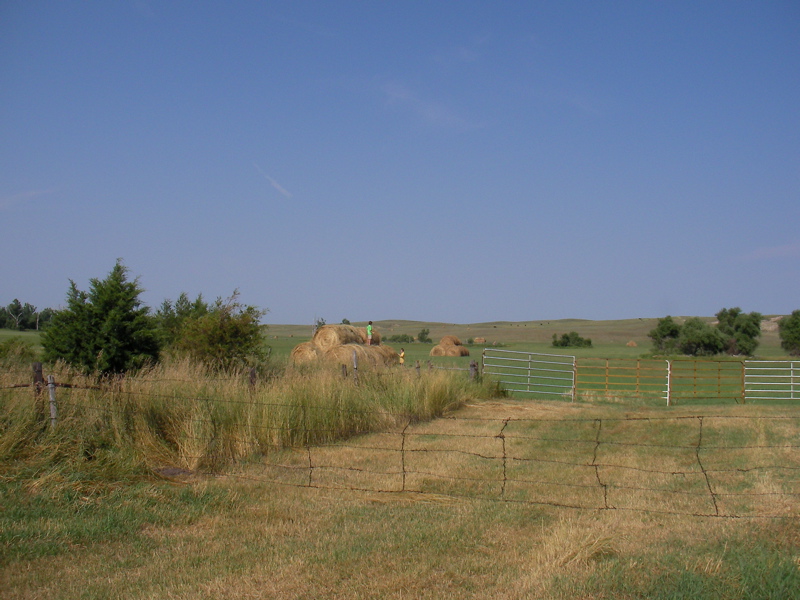 SANY0065.JPG