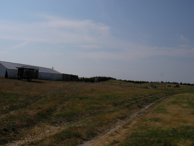 SANY0067.JPG