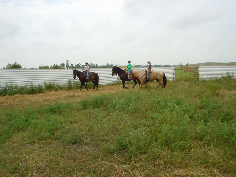 DSC01779.JPG