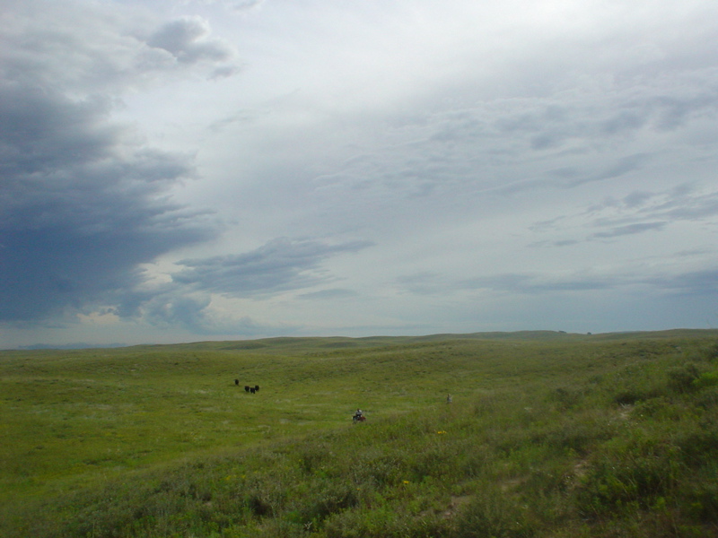 DSC01962.JPG