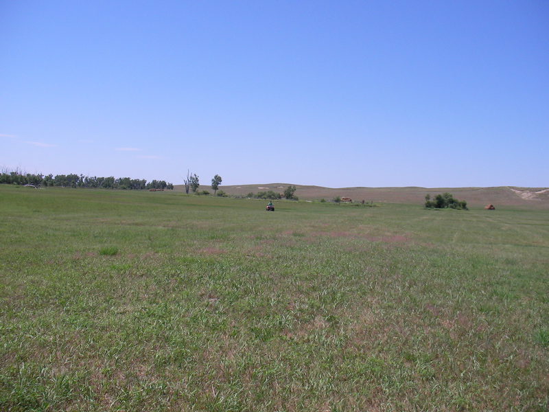 SANY0005.JPG