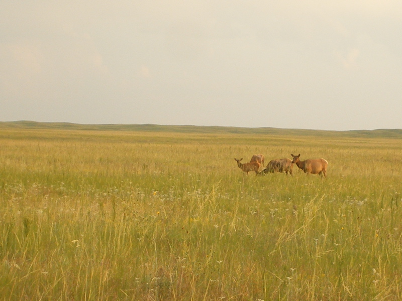 DSCF0497.JPG