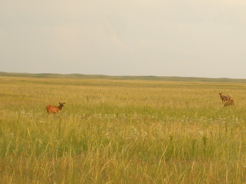DSCF0499.JPG