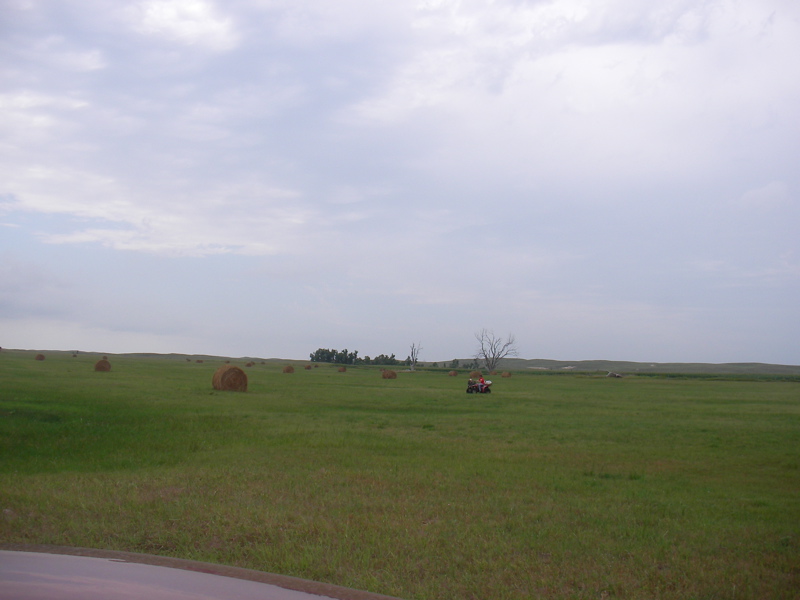 SANY0111.JPG