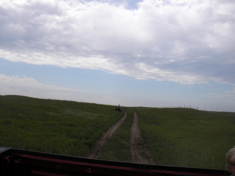 SANY0131.JPG