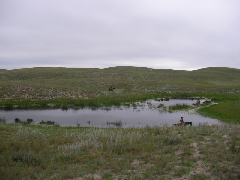 SANY0029.JPG