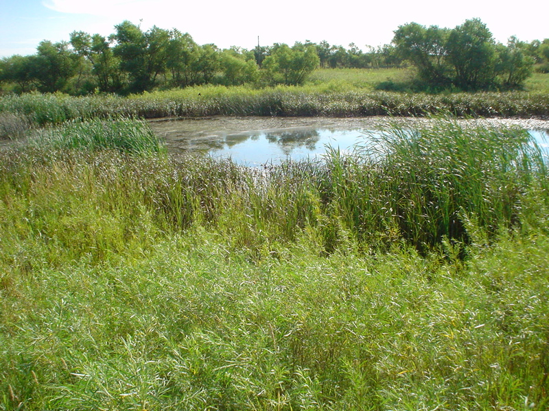 DSC01815.JPG