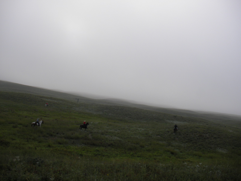 SANY0073.JPG