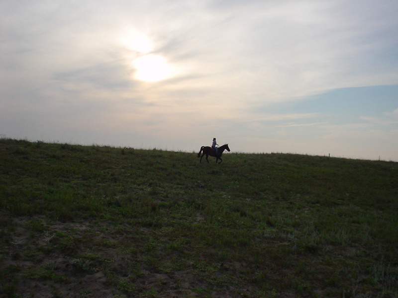 DSC01828.JPG