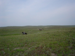 DSC01830.JPG