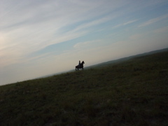 DSC01833.JPG