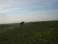 DSC01835.JPG