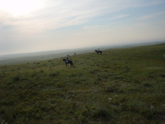 DSC01839.JPG