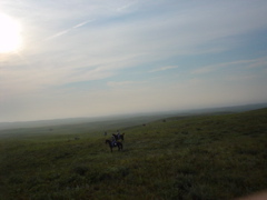 DSC01842.JPG