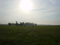 DSC01844.JPG