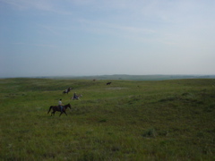 DSC01845.JPG