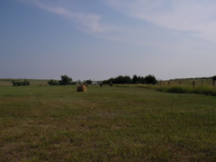 SANY0040.JPG