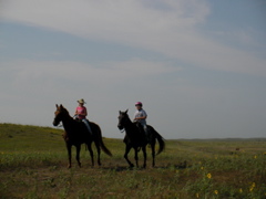 SANY0053.JPG