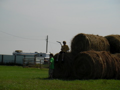 SANY0056.JPG