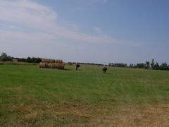 SANY0057.JPG
