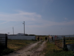 SANY0064.JPG