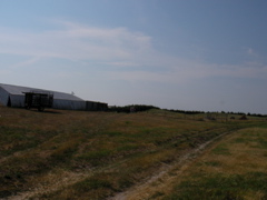 SANY0067.JPG