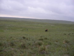 SANY0008.JPG