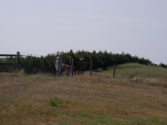SANY0068.JPG