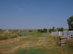 SANY0070.JPG