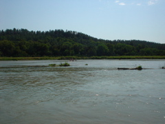 DSC01852.JPG