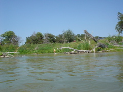 DSC01853.JPG