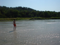 DSC01857.JPG