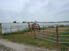DSC01776.JPG