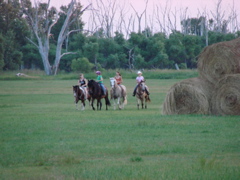 DSC00599.JPG
