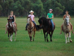 DSC00602.JPG