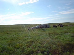 DSC01902.JPG