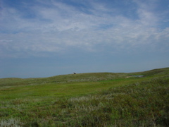 DSC01910.JPG