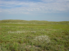 DSC01911.JPG
