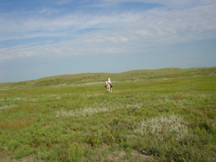 DSC01913.JPG