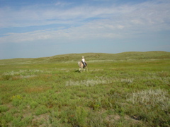 DSC01914.JPG
