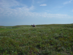 DSC01920.JPG