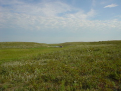 DSC01921.JPG