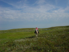DSC01924.JPG