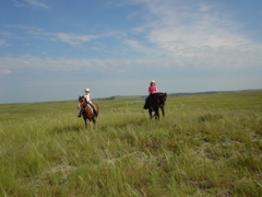 DSC01932.JPG